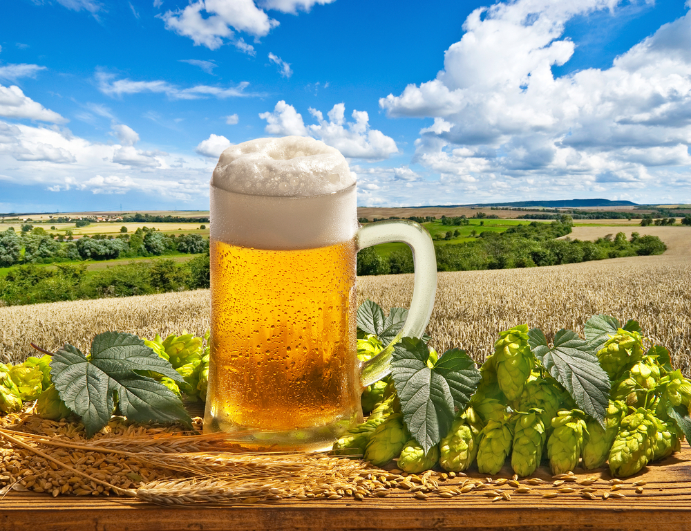 ビールの旨さはそのまま 世界最大ブルワリーがエコな泡を製造へ クラフトビールの総合情報サイト My Craft Beer