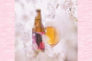 桜のビールイメージ