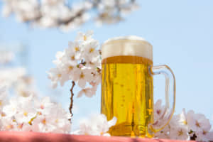 お花見とビール