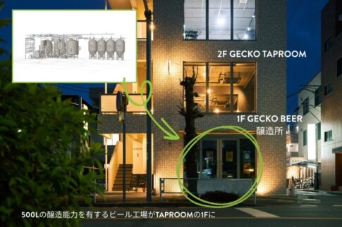 GECKO BEER